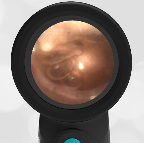 3-year-old with a Routine Health Visit